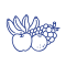 Fruits icon 