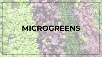 Image of various microgreens with text that says "Microgreens"