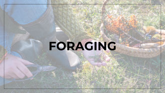 Image of a foraging haul with text that says "Foraging" 
