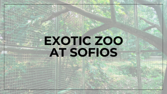 Zoo enclosure 